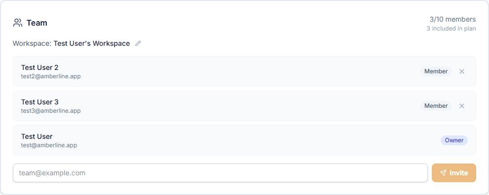 The Team section in Settings showing workspace members, roles, and the invite form